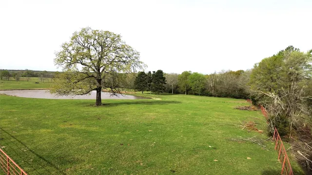 a view of a field with trees in the background