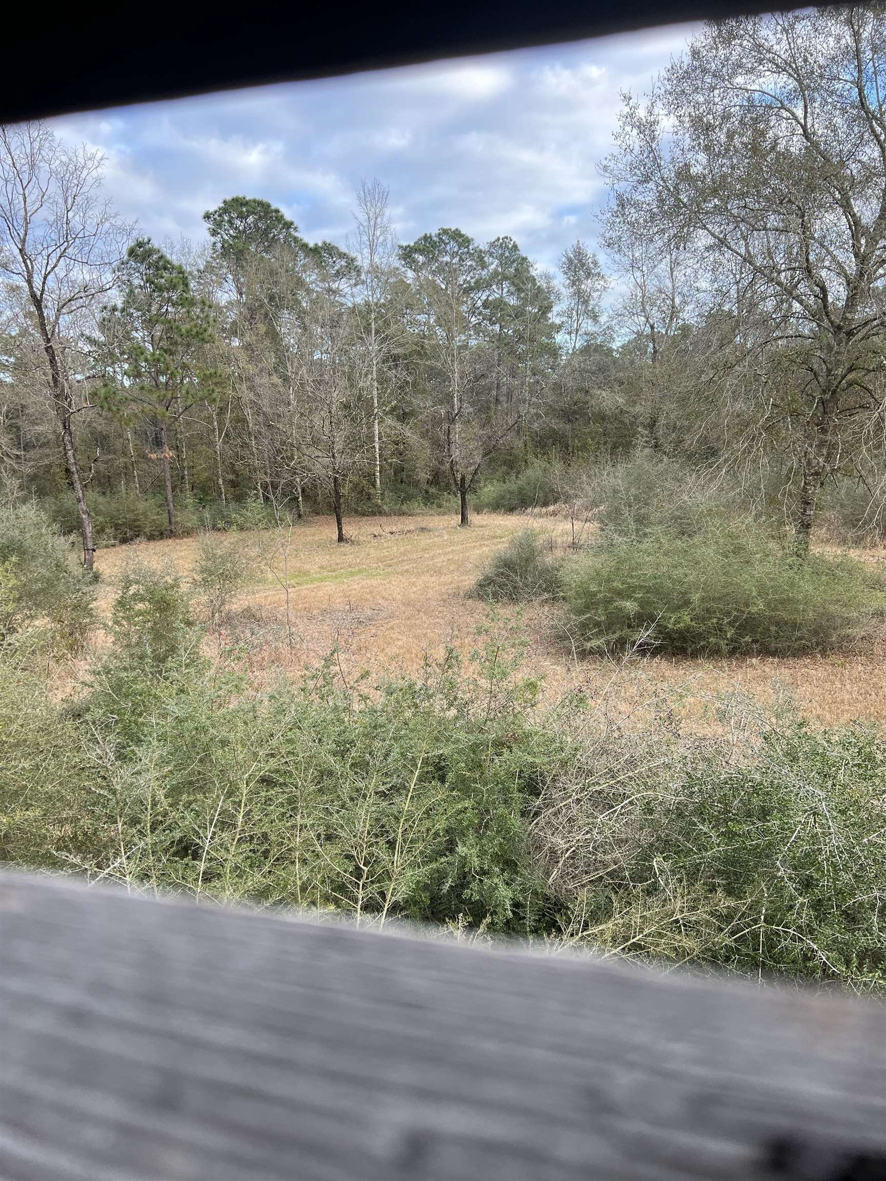 0 Cactus Court Elberta, AL 36530 - Photo 5 of 24 View