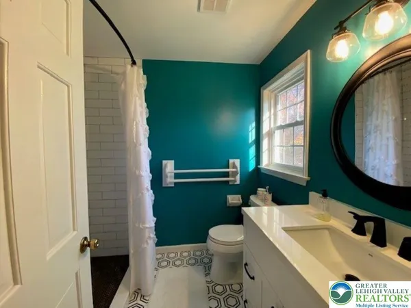 a bathroom with a sink a toilet and a mirror