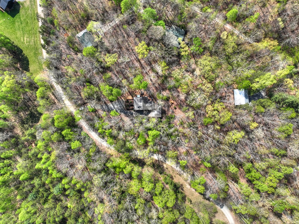 185 Locust Lane Morganton, GA 30560 - Photo 4 of 61