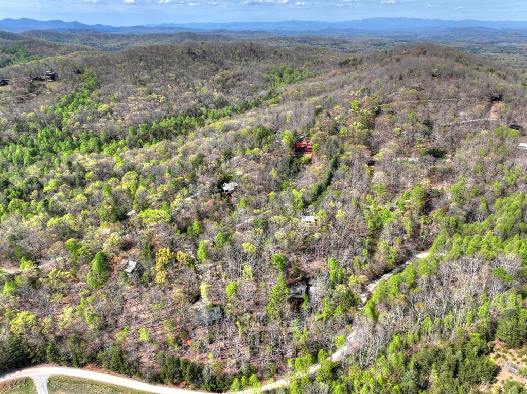185 Locust Lane Morganton, GA 30560 - Photo 5 of 61