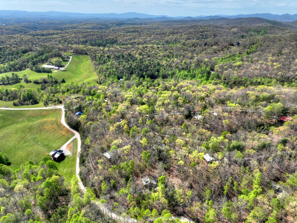 185 Locust Lane Morganton, GA 30560 - Photo 6 of 61
