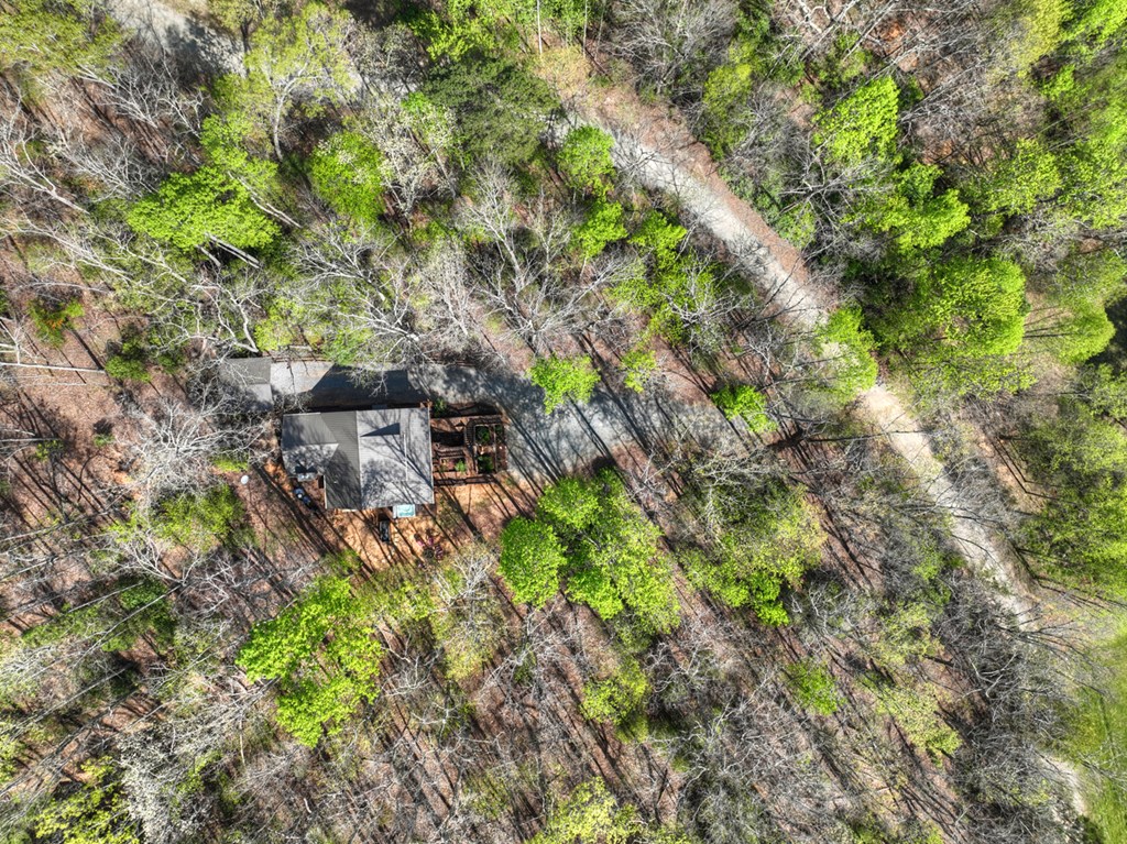 185 Locust Lane Morganton, GA 30560 - Photo 7 of 61