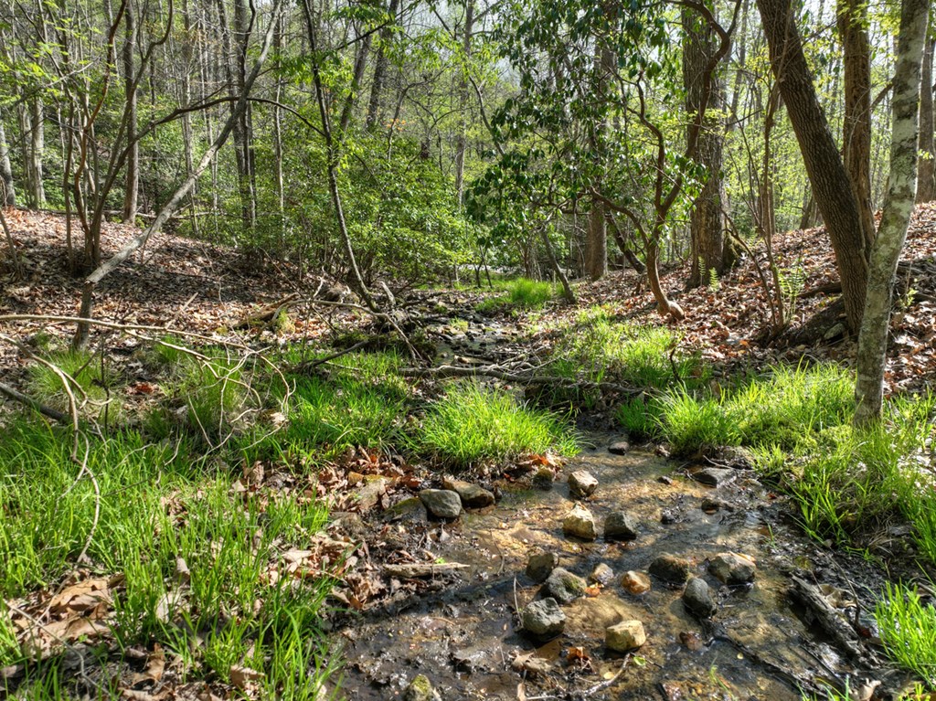 185 Locust Lane Morganton, GA 30560 - Photo 8 of 61