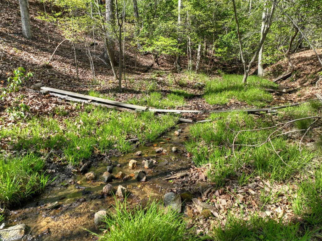 185 Locust Lane Morganton, GA 30560 - Photo 9 of 61