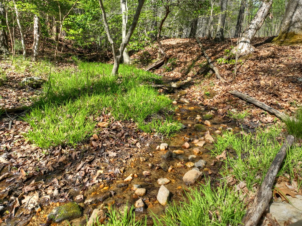 185 Locust Lane Morganton, GA 30560 - Photo 10 of 61
