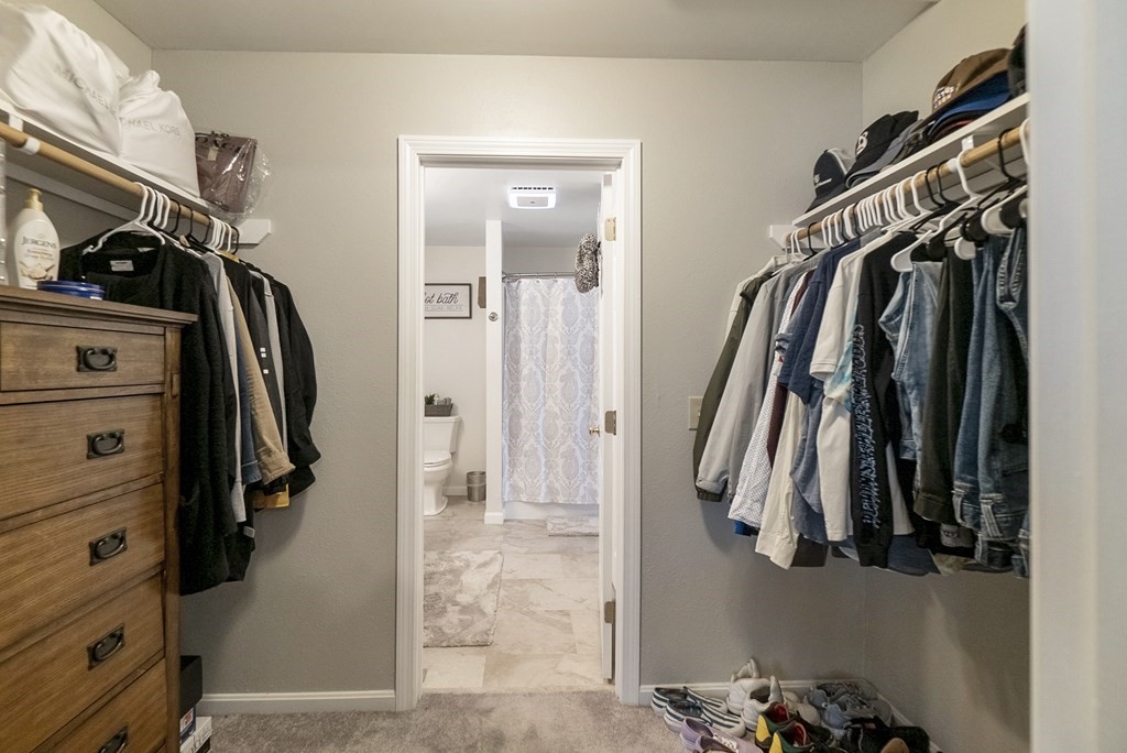 195 Mazarin Street Springfield, MA 01151 - Photo 23 of 25