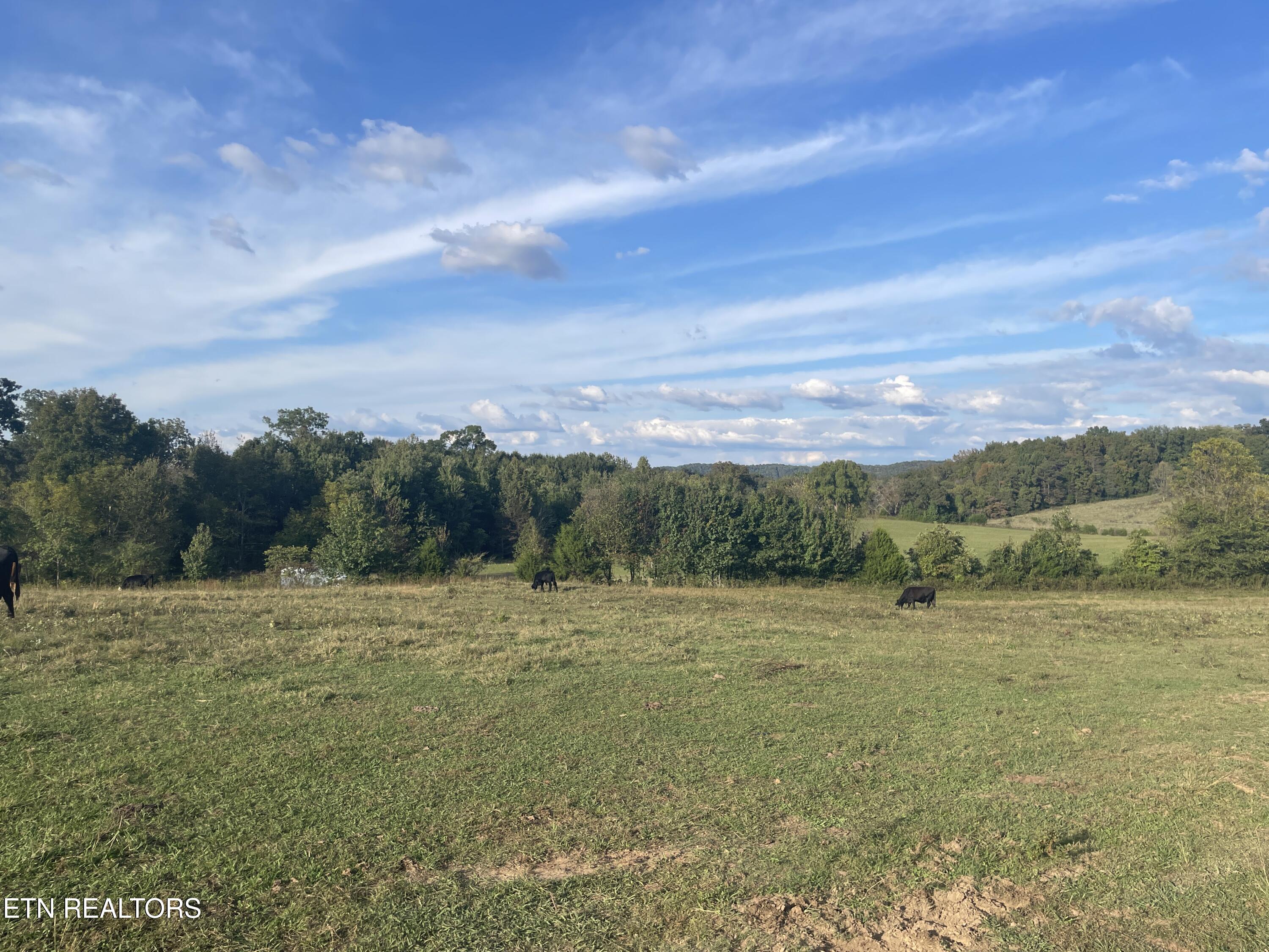 1380 Conrad Templeton Road Quebeck, TN 38579 - Photo 11 of 28 IMG_4704