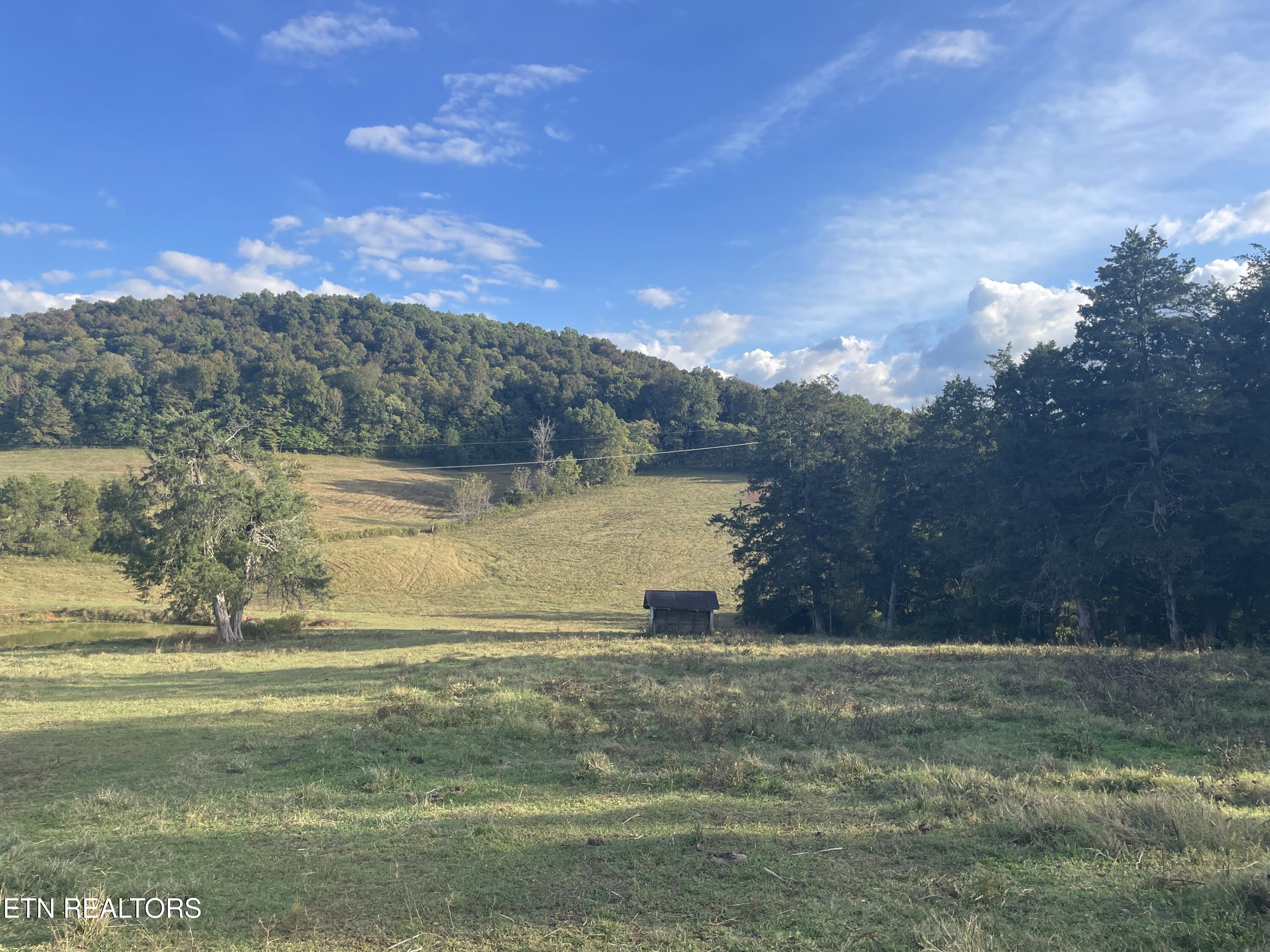 1380 Conrad Templeton Road Quebeck, TN 38579 - Photo 12 of 28 IMG_4707