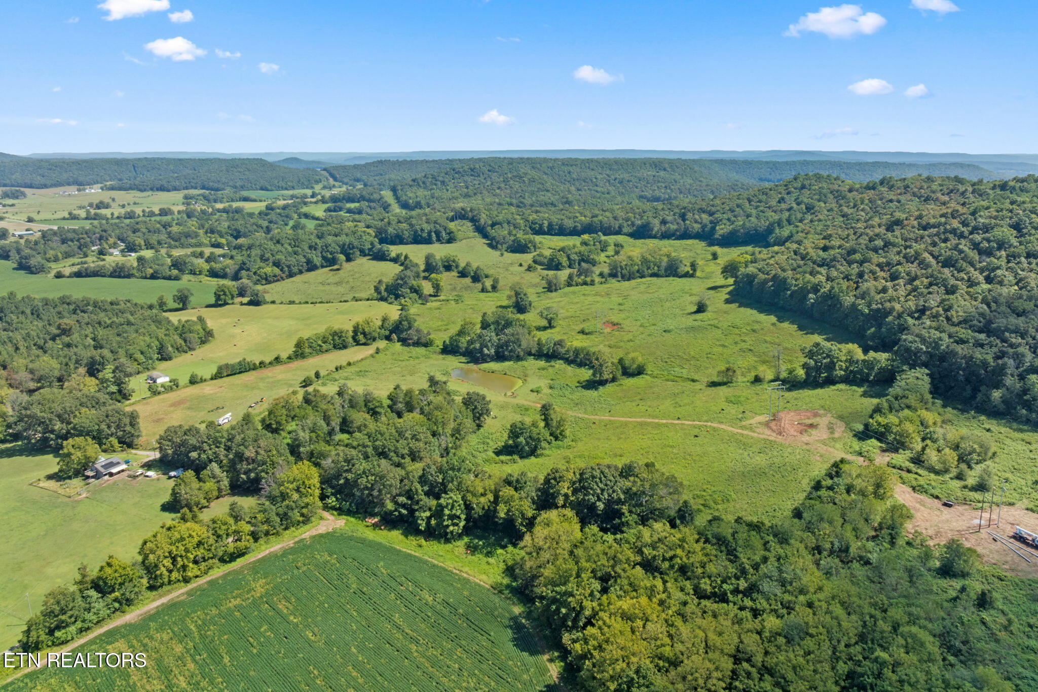 1380 Conrad Templeton Road Quebeck, TN 38579 - Photo 14 of 28 1-web-or-mls-conrad-templeton-rd