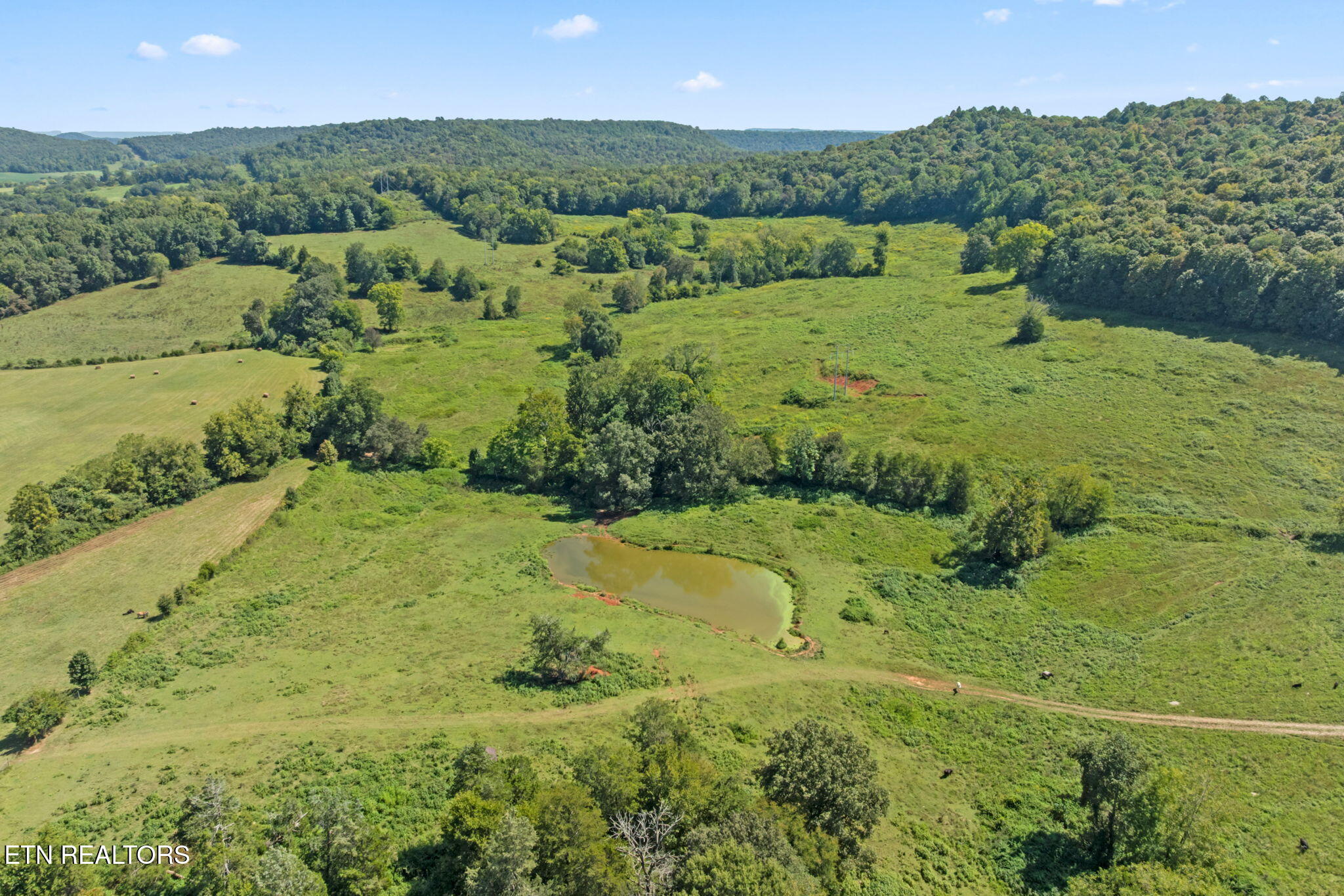 1380 Conrad Templeton Road Quebeck, TN 38579 - Photo 24 of 28 7-web-or-mls-conrad-templeton-rd