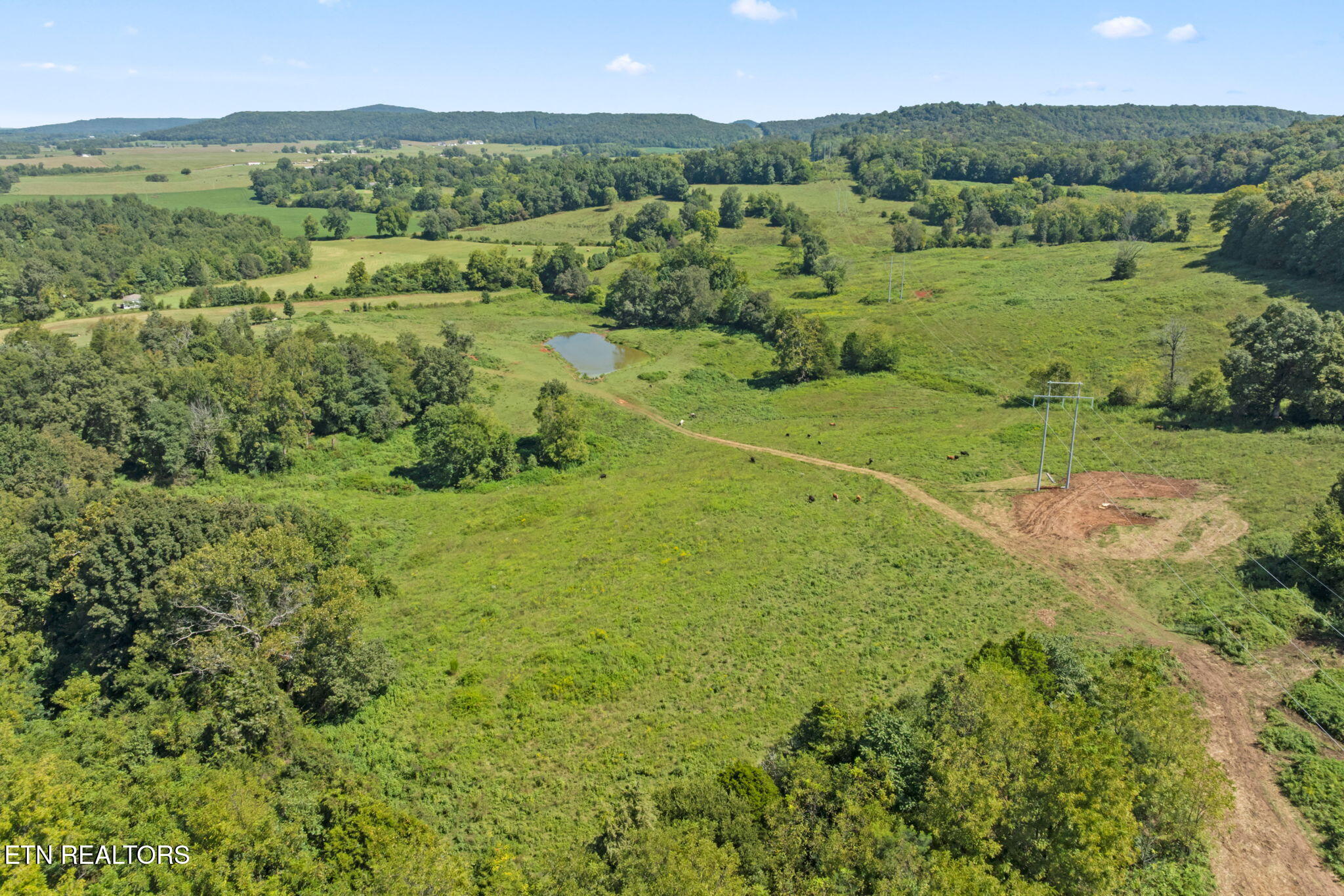 1380 Conrad Templeton Road Quebeck, TN 38579 - Photo 25 of 28 8-web-or-mls-conrad-templeton-rd