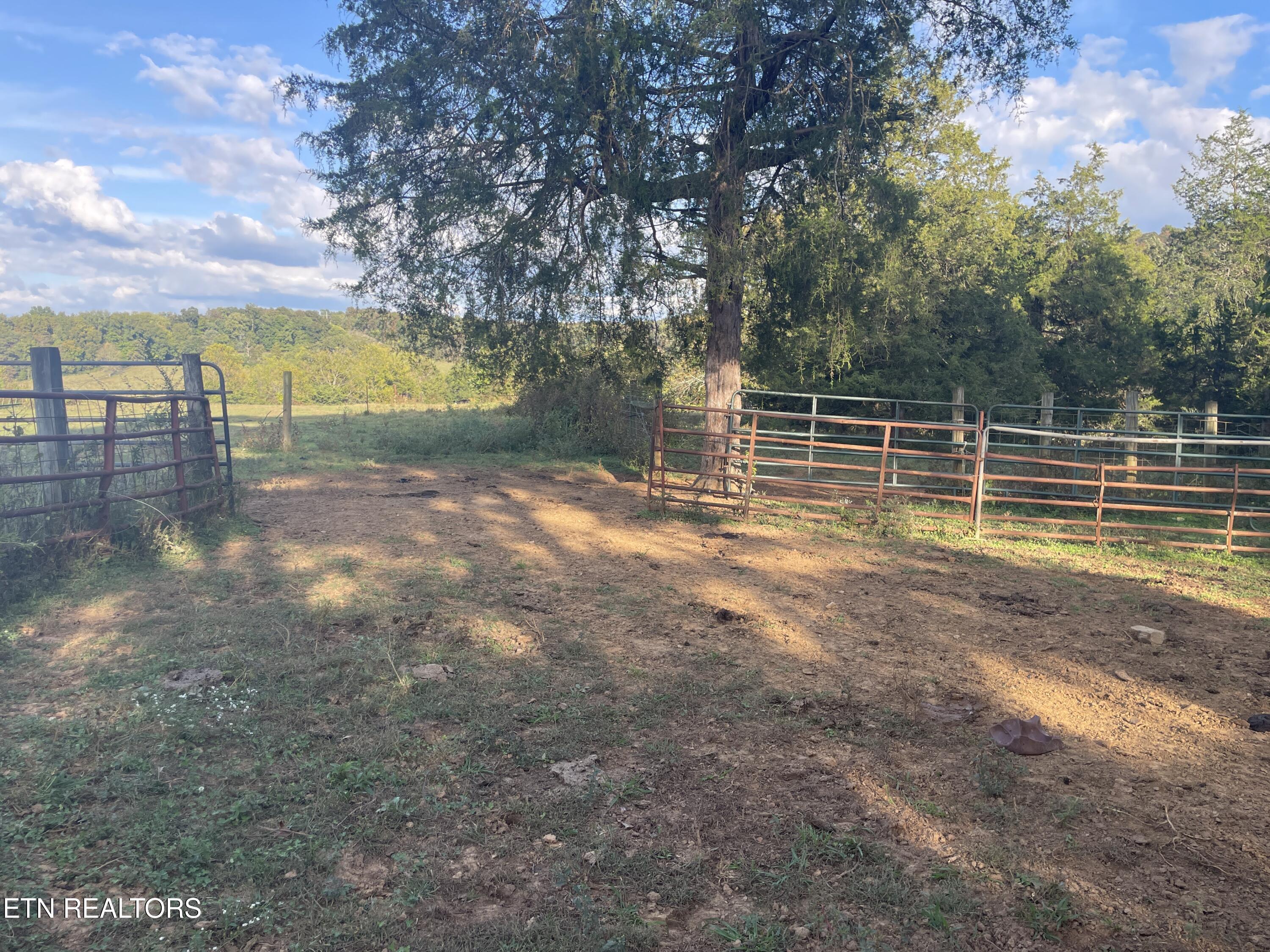 1380 Conrad Templeton Road Quebeck, TN 38579 - Photo 4 of 28 IMG_4700