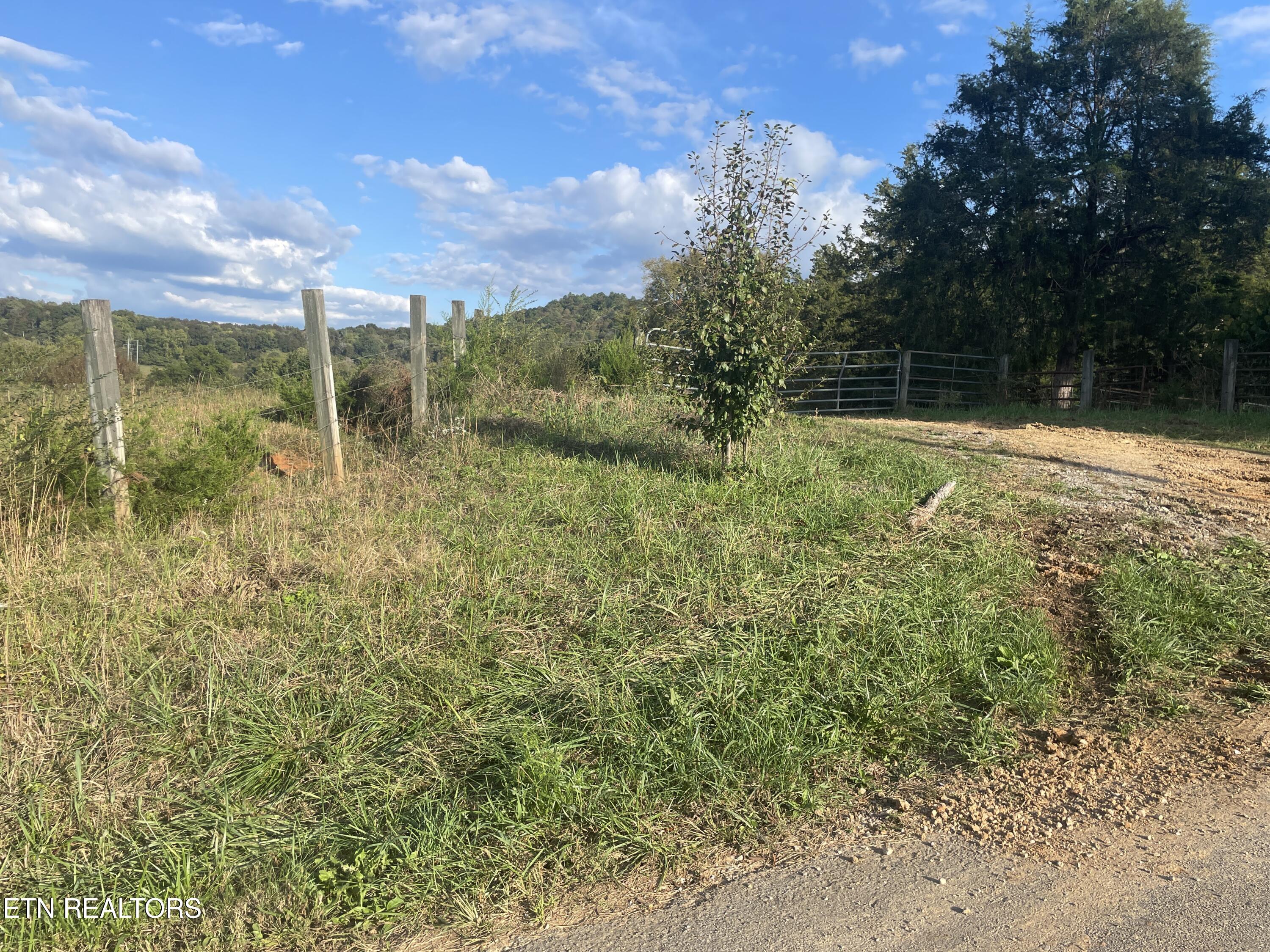 1380 Conrad Templeton Road Quebeck, TN 38579 - Photo 6 of 28 IMG_4697