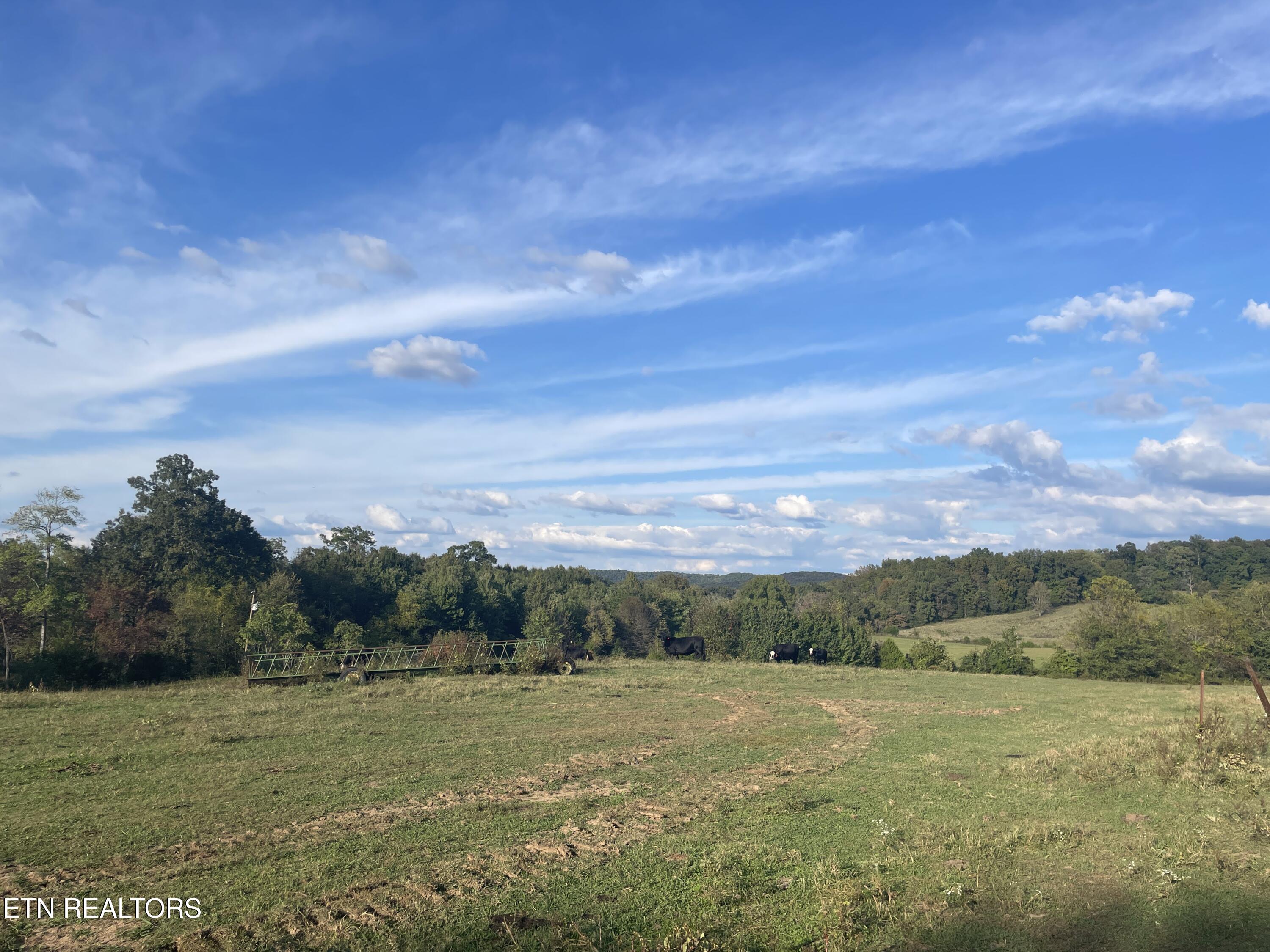 1380 Conrad Templeton Road Quebeck, TN 38579 - Photo 8 of 28 IMG_4703