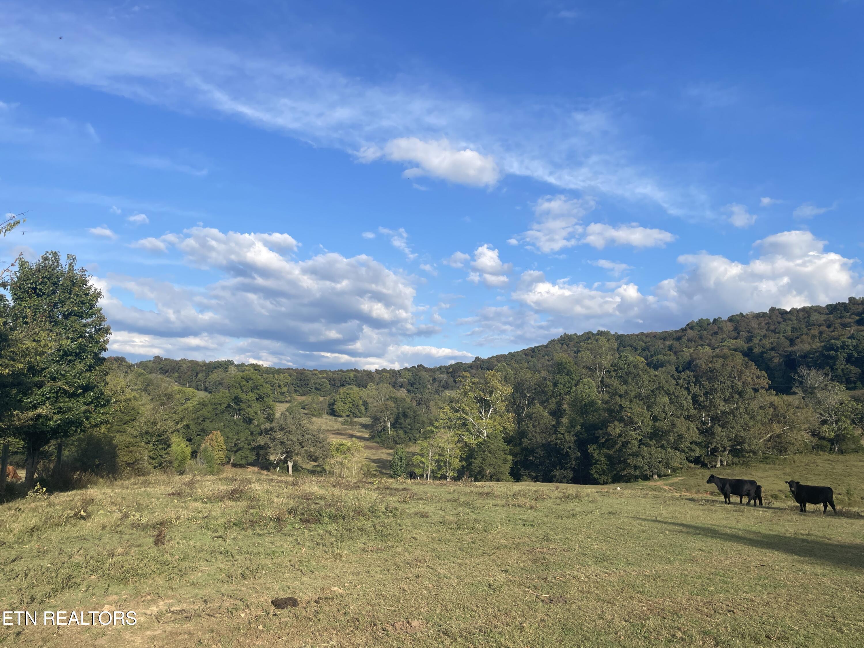 1380 Conrad Templeton Road Quebeck, TN 38579 - Photo 10 of 28 IMG_4706