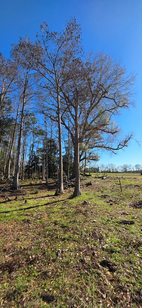 12.7-acres Nobles Road Dothan, AL 36301 - Photo 28 of 41