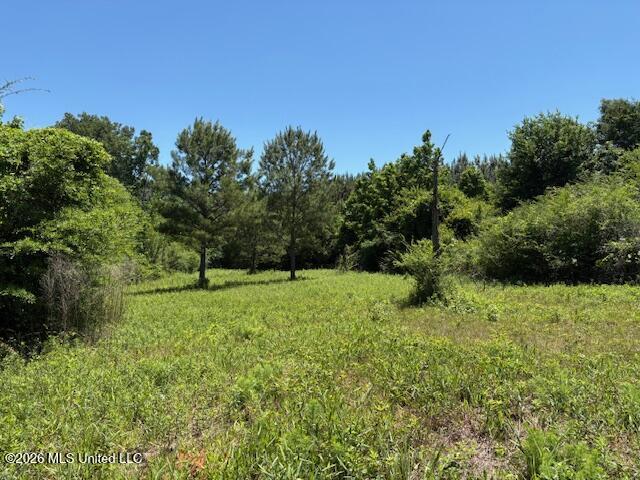 902 State Highway Pulaski, MS 39152 - Photo 2 of 8 IMG_7715