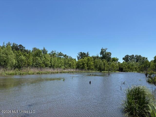 902 State Highway Pulaski, MS 39152 - Photo 5 of 8 IMG_7721
