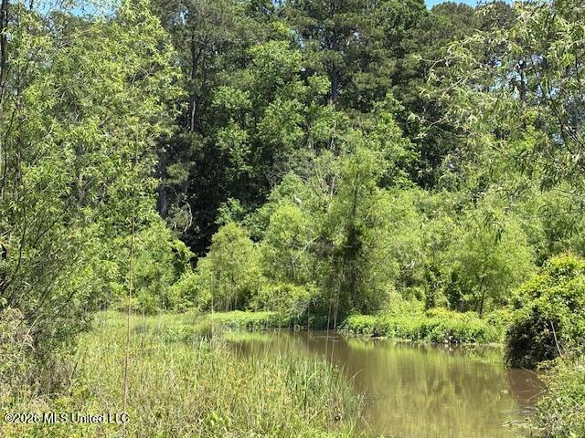 902 State Highway Pulaski, MS 39152 - Photo 6 of 8 IMG_7726