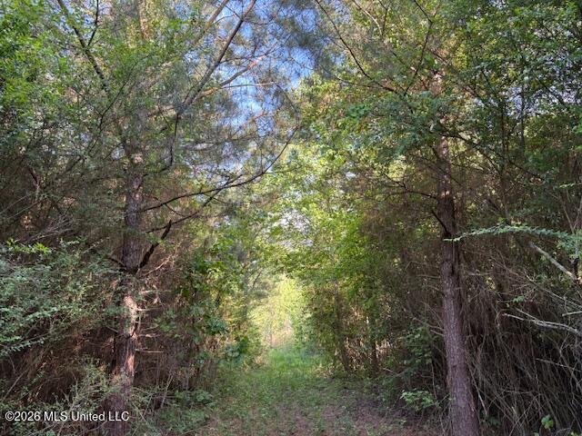902 State Highway Pulaski, MS 39152 - Photo 7 of 8 IMG_7471