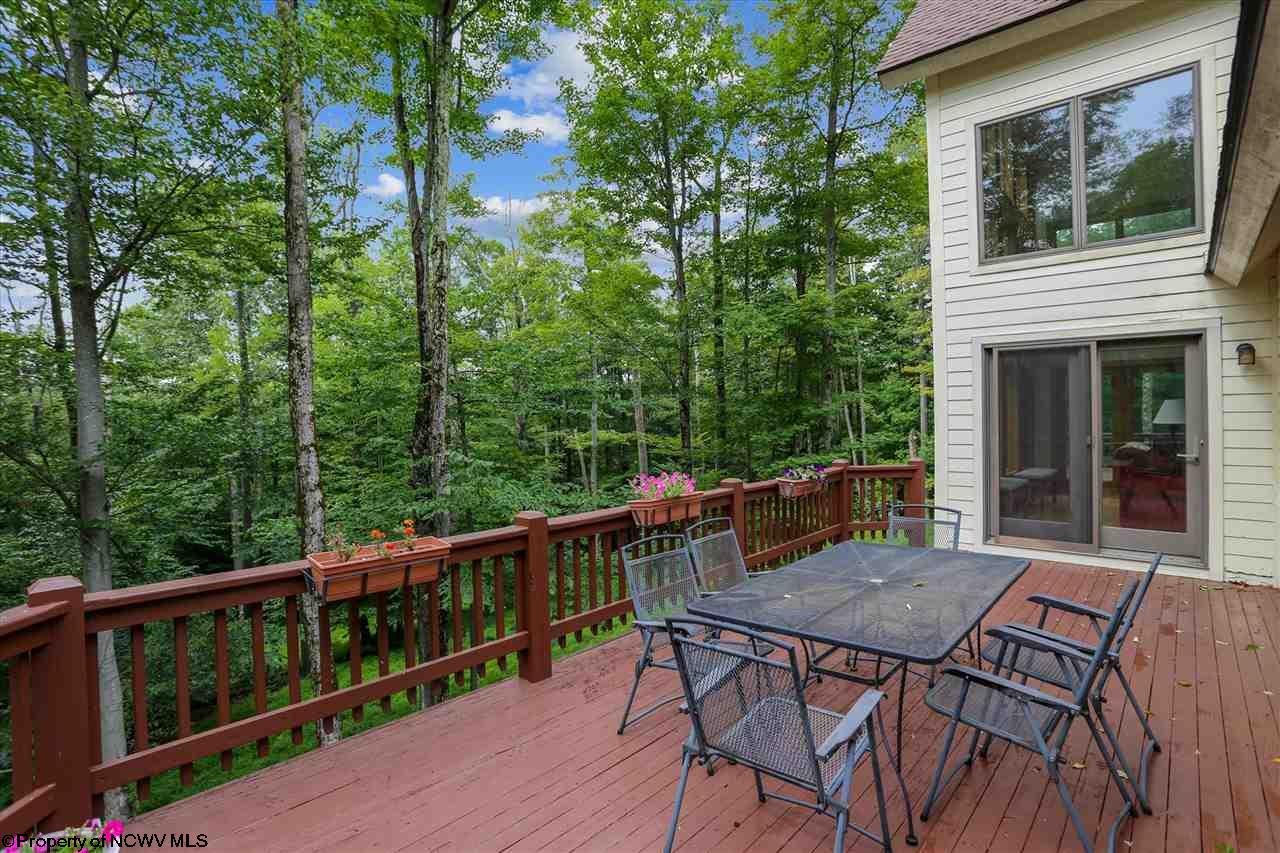 806 Cabin Mountain Road Davis, WV 26260 - Photo 15 of 30 Gallery Image 15