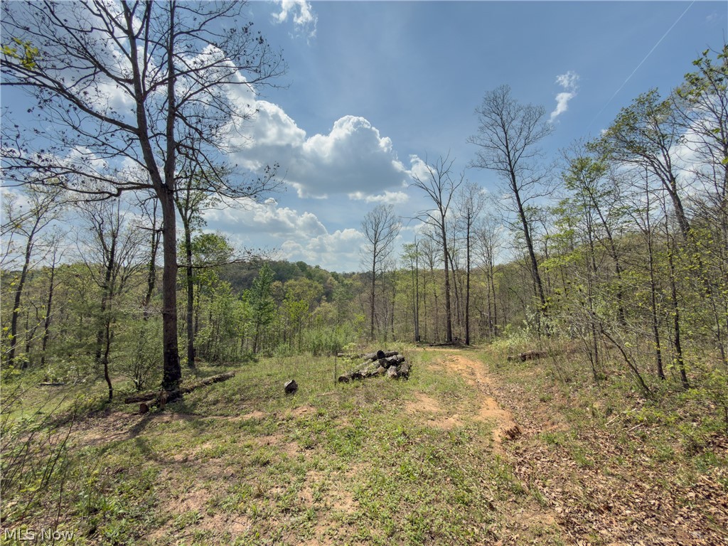 Beardmore Road Wingett Run, OH 45789 - Photo 39 of 43