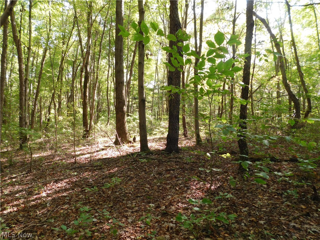 Fable Road Southwest Sherrodsville, OH 44675 - Photo 15 of 15