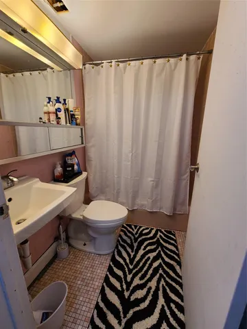 a bathroom with a sink a toilet and shower curtain