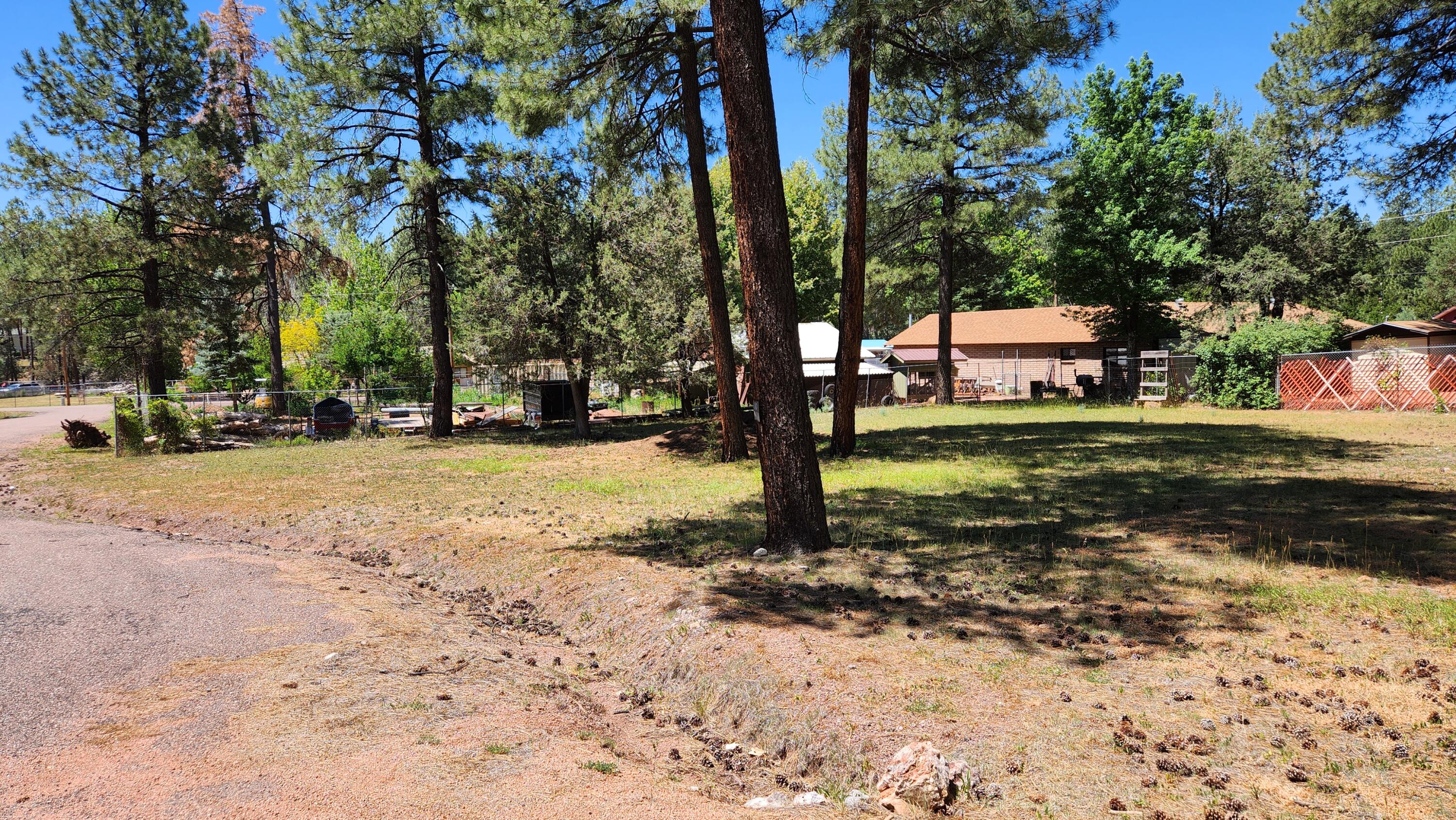 181 Cedar Circle Payson, AZ 85541 - Photo 4 of 8 Lot181-TV3