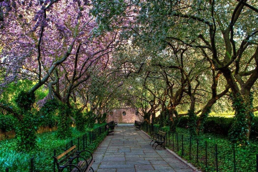 205 East 59th Street 17C Upper East Side New York NY 10022