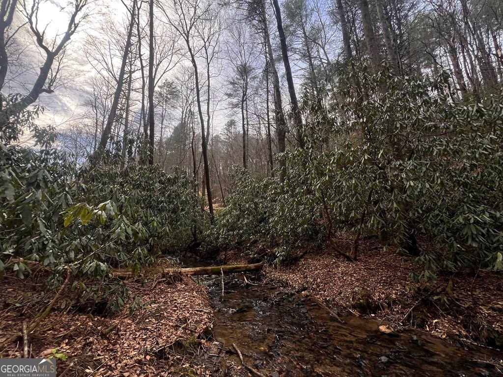 63 Walker Rdg Way Mineral Bluff, GA 30559 - Photo 1 of 1 Gallery Image 1