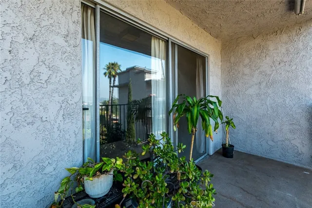 a view of a potted plants in front of door