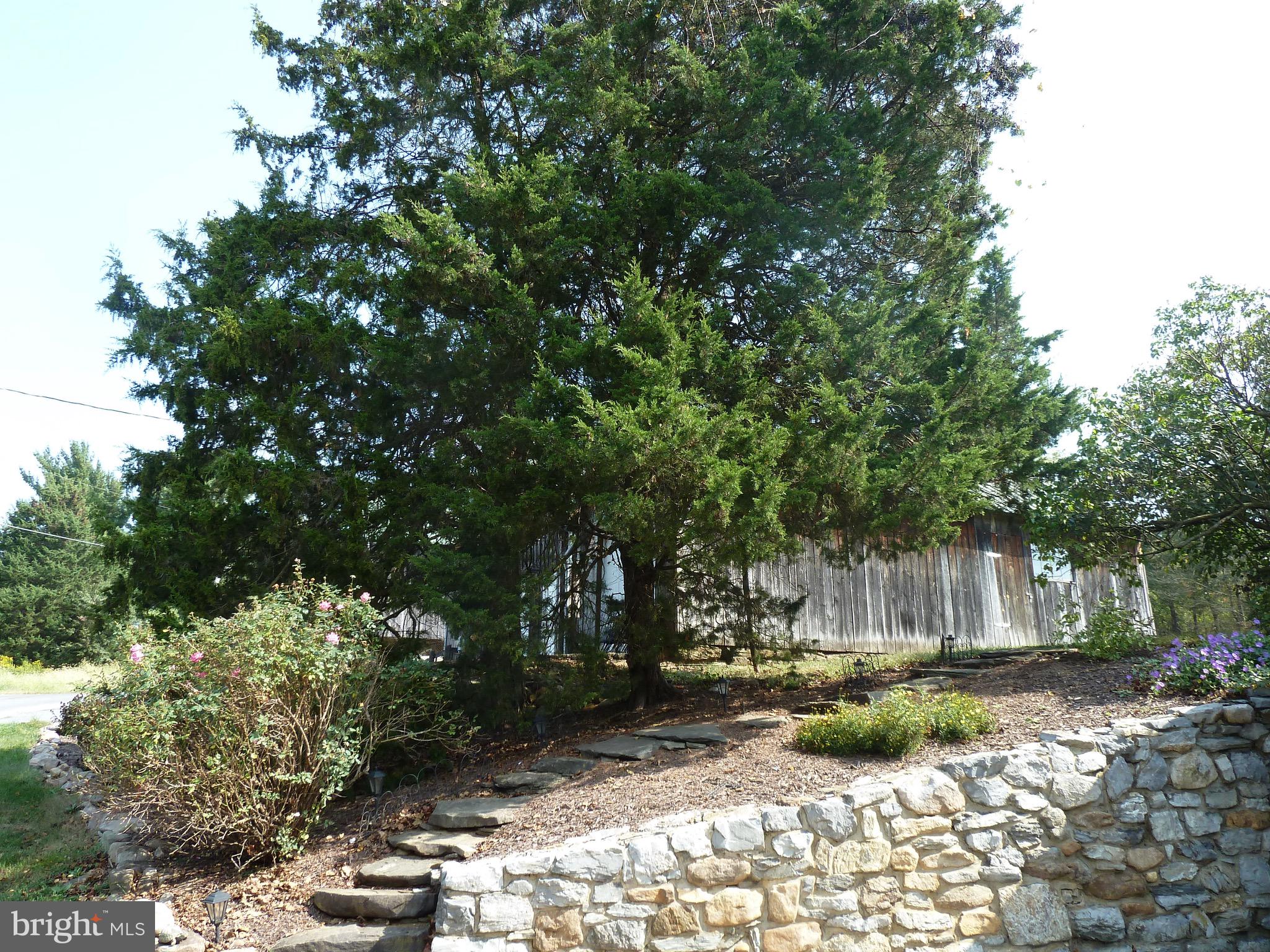 21175 San Mar Road Boonsboro, MD 21713 - Photo 65 of 99 Landscaping