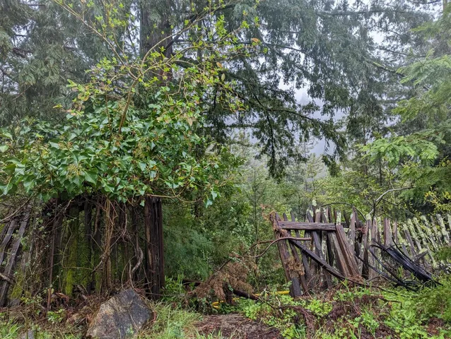 a view of outdoor space and garden
