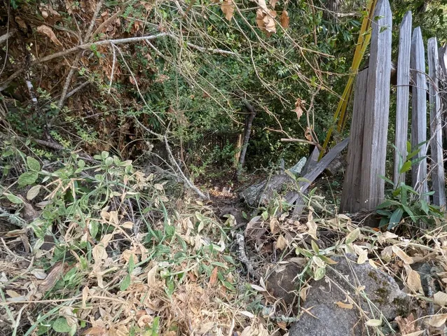 a view of a backyard