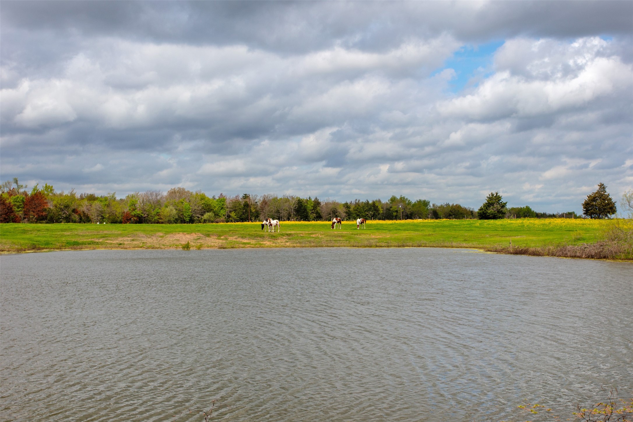 3882 Webb Cemetary Road Calvert, TX 77837 - Photo 1 of 14 a view of a swimming pool and an outdoor seating