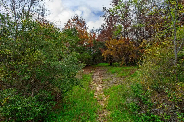 a view of yard with green space