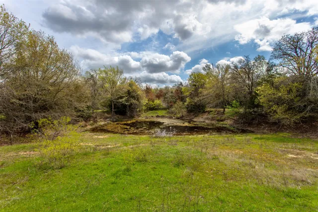 a view of a yard with an outdoor space
