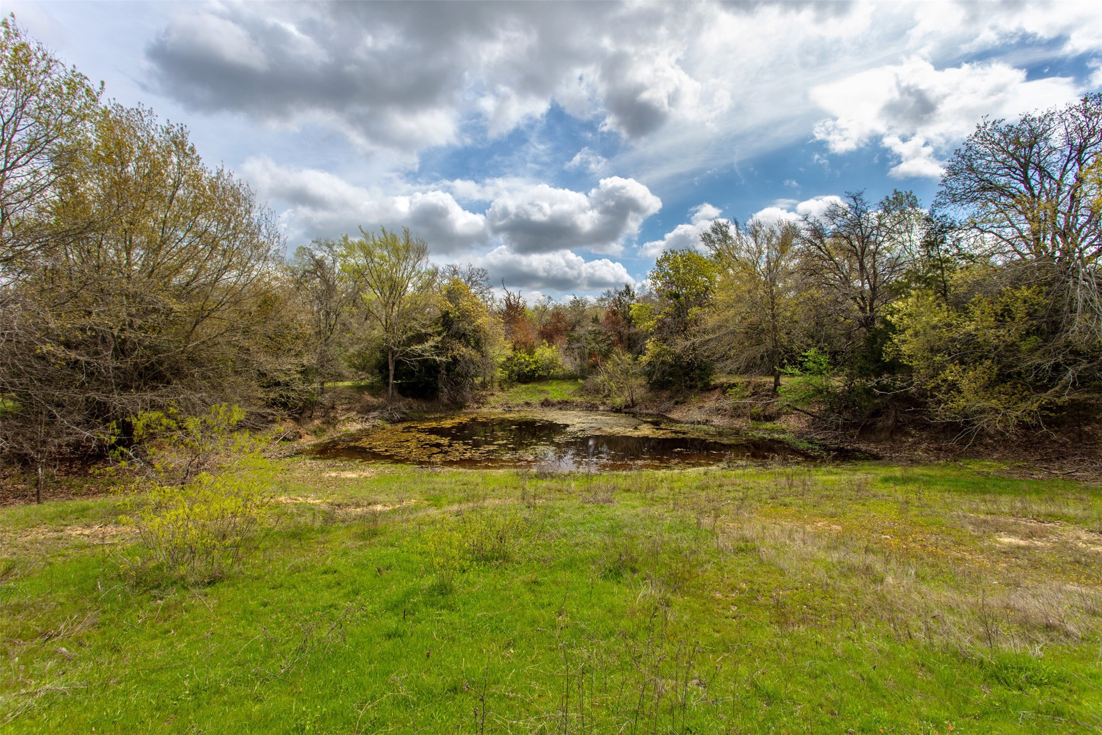3882 Webb Cemetary Road Calvert, TX 77837 - Photo 4 of 14 a view of a yard with an outdoor space