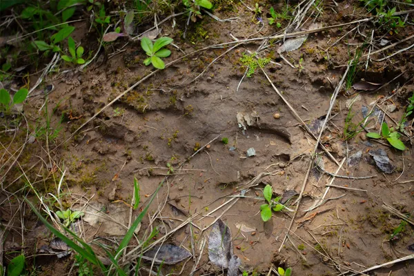 a backyard of a house