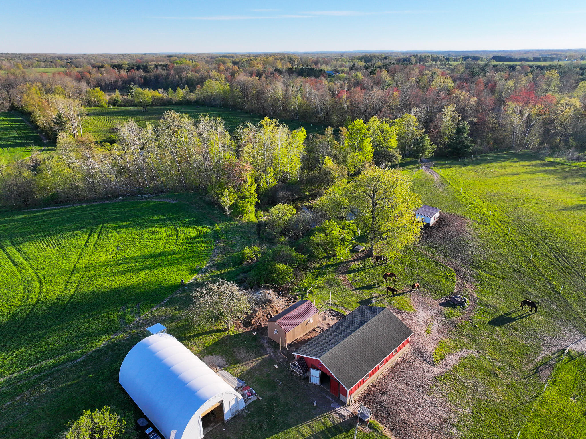 17463 Sunrise Lake Road Leroy, MI 49655 - Photo 40 of 62 DJI_20260504201808_0458_D