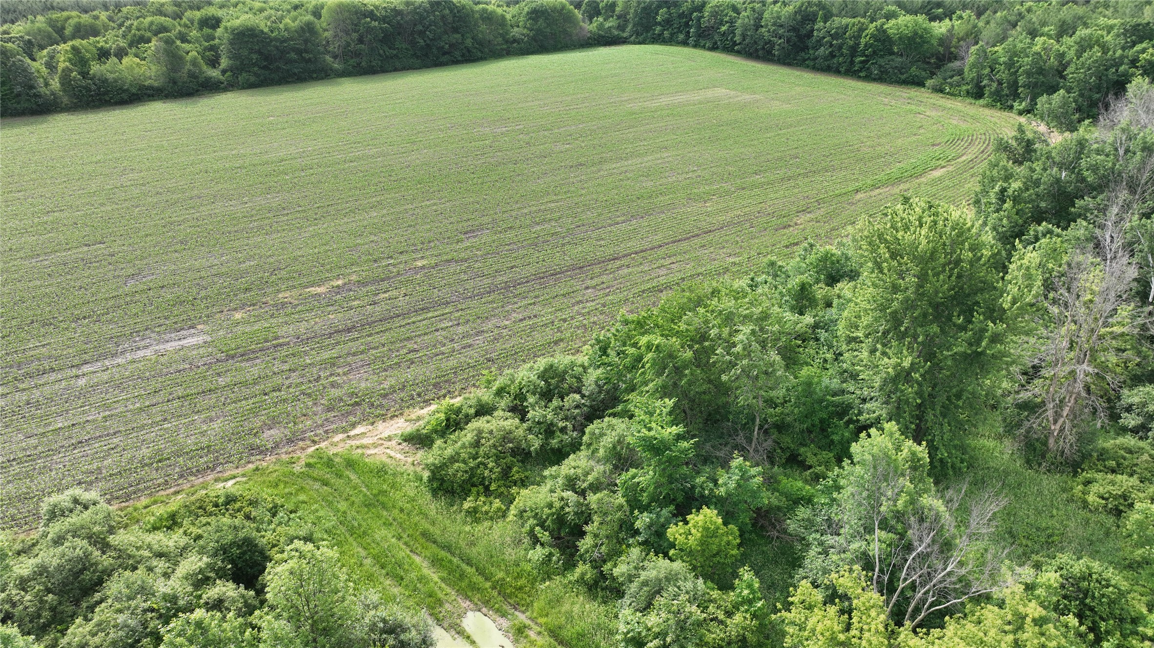 Xx Pierce County Road BB Baldwin, WI 54002 - Photo 27 of 35
