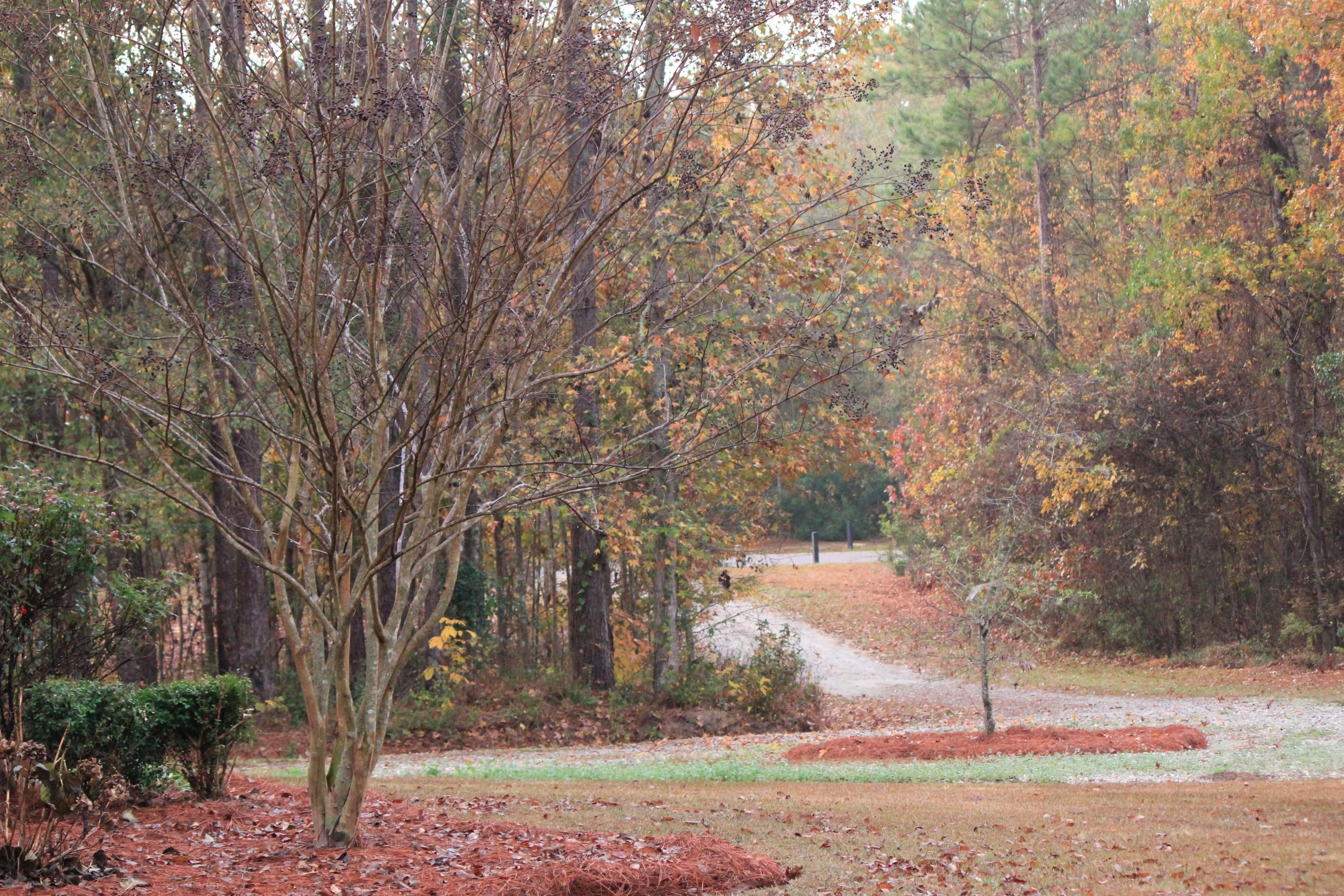 2091 Briar Bend Road Ridgeville, SC 29472 - Photo 2 of 12 IMG_3940