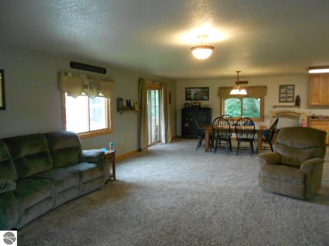 4461 North Waldron Road Edmore, MI 48829 - Photo 8 of 40 1785699-7.JPG