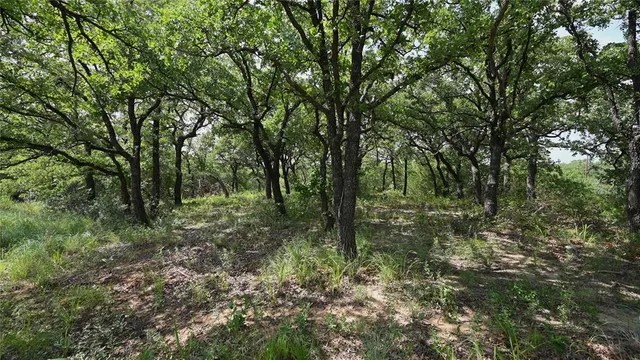 a view of outdoor space with green field and trees