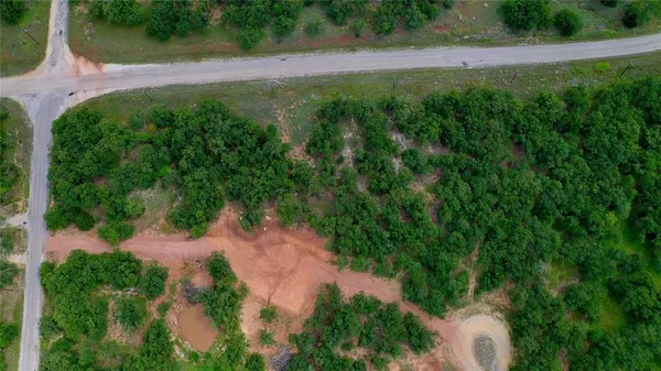 a big yard with lots of green space and deers