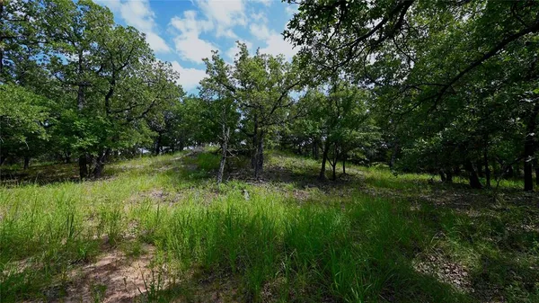 a view of a lush green space