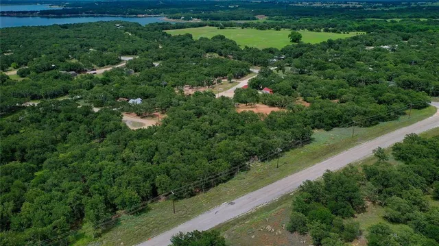 a view of a lush green forest with lots of trees