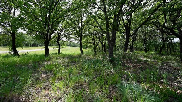 a view of yard with trees